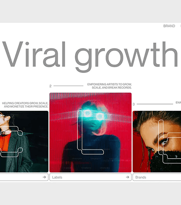 Branding Guideline and Support